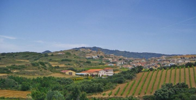  Blick vom Weingut